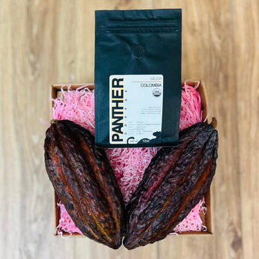 Cacao & Coffee Box GoogleON Tropical Fruit Box